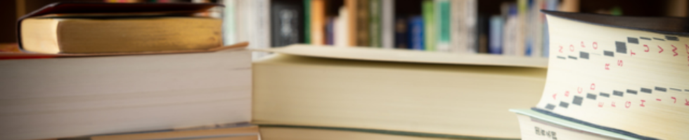 SIMUL TRANSLATION JAPAN visual data 8